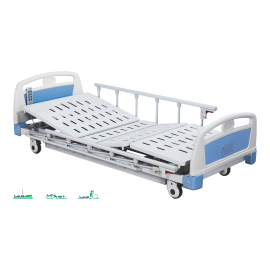 Three function Luxurious Electric Care Bed 